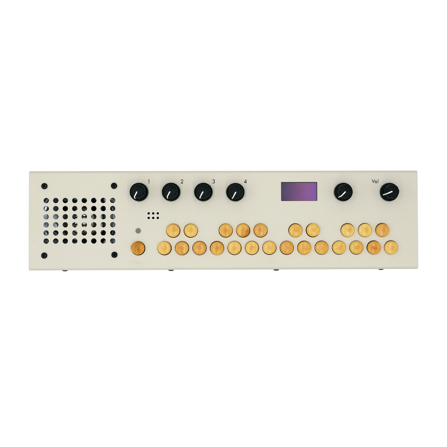 Critter & Guitari Organelle M Music Computer (grey)