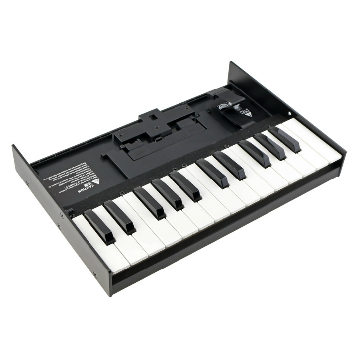 Roland K-25M Boutique Series Keyboard
